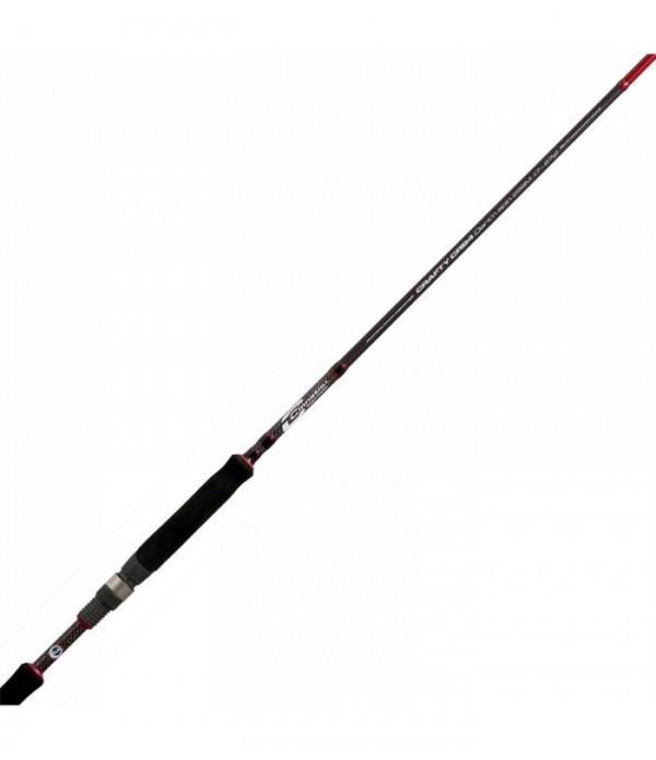 PALICA CINNETIC REXTAIL ROCK'N DART 225 UL