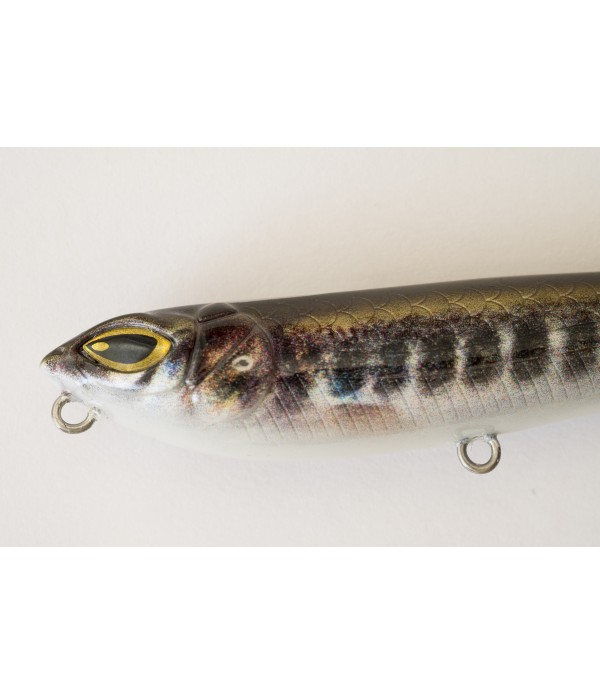 CINNETIC MINI ZIG WALKER 75F