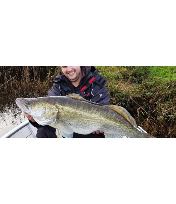 HEARTY RISE PALICA COLLECTOR II 892H