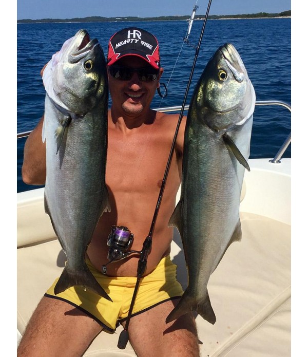 HEARTY RISE PALICA ROCK N FORCE 752LL