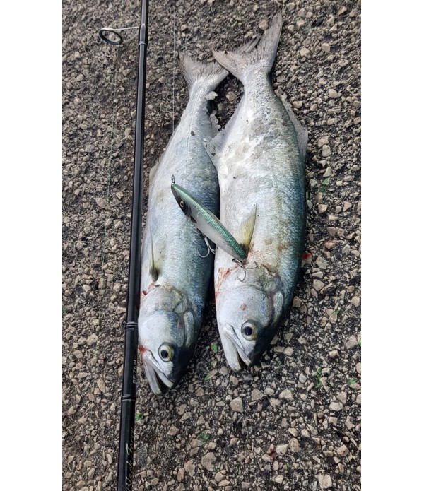 LURENZO VABA ESPETIT 9,5CM 10,5GR