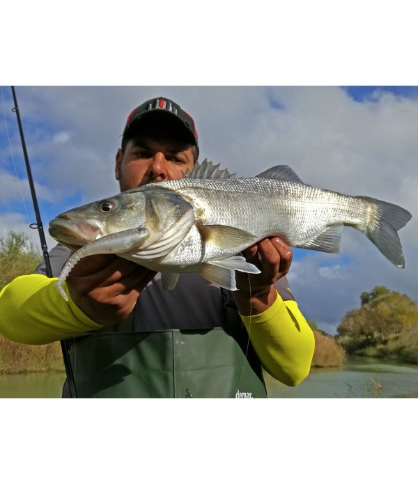 MOLIX SILIKONSKA VABA SS SHAD 10CM