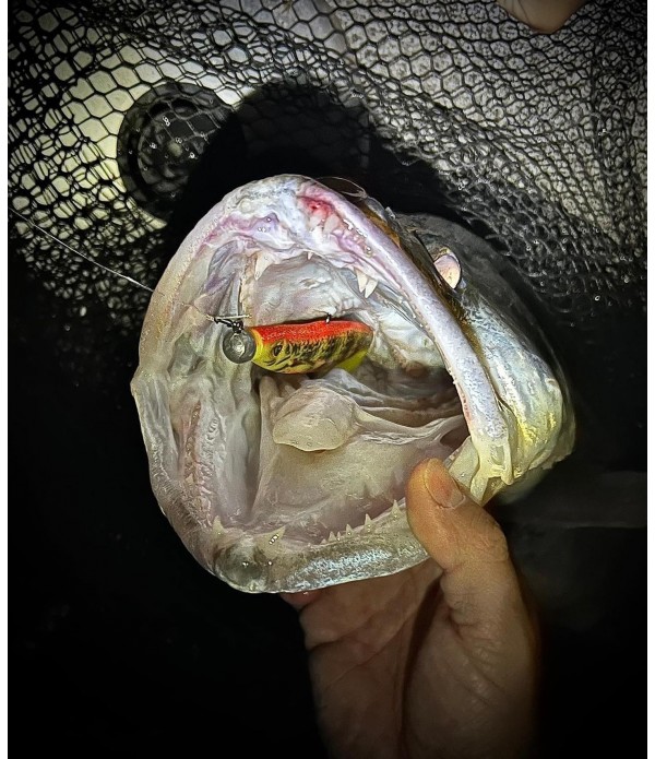 FOX RAGE PRO SHAD 2 UV 14CM