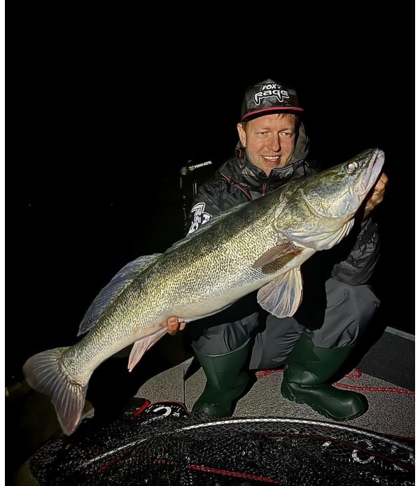 FOX RAGE PRO SHAD 2 UV 14CM