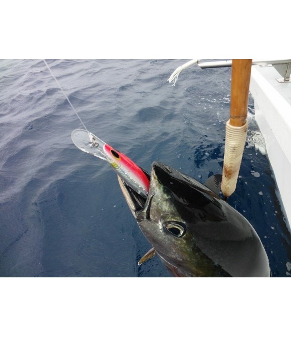 VABA WILLIAMSON SPEED PRO 130