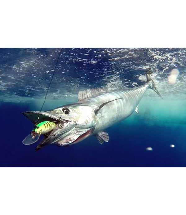 VABA WILLIAMSON SPEED PRO 130