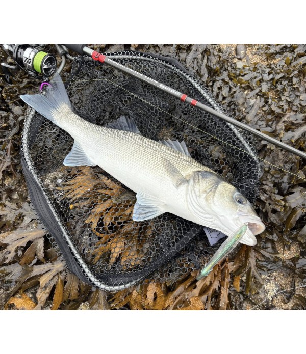XORUS TOPWATER WTD PATCHINKO 100 GHOST WHITE IWASHI
