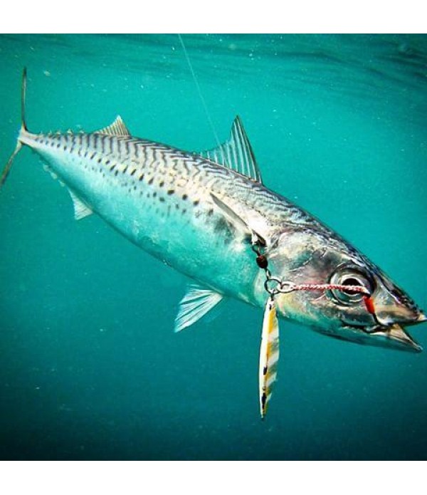 JIG STORM KOIKA 150GR