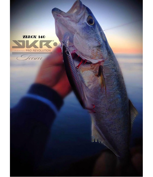 YKR Zerox 145mm 29gr Slow Sinking