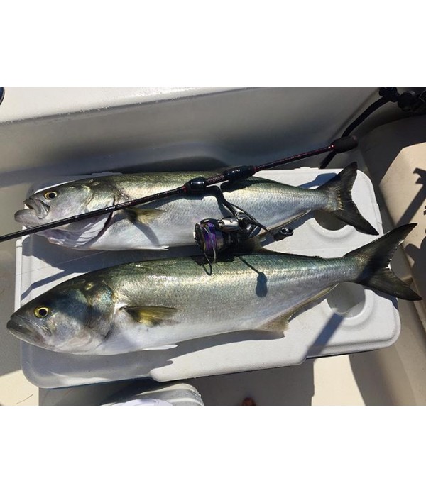 HEARTY RISE PALICA ROCK N FORCE 752LL