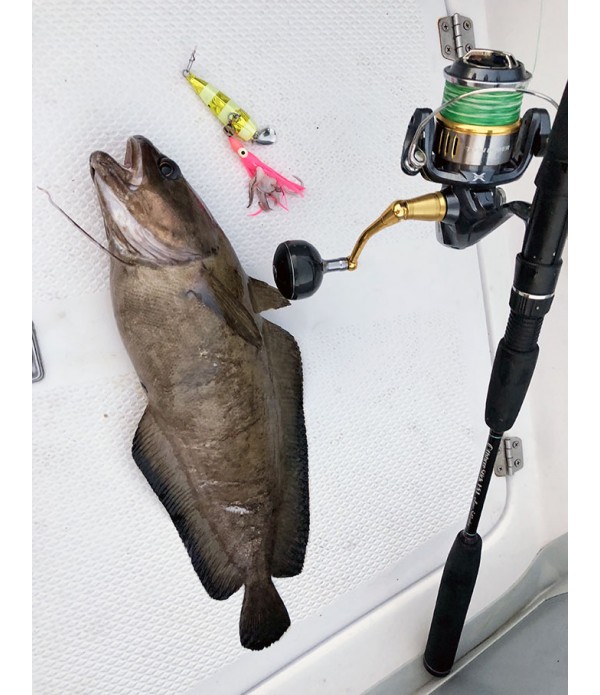 HAYABUSA VABA JACK EYE KICK BOTTOM HD INCHIKU 80GR