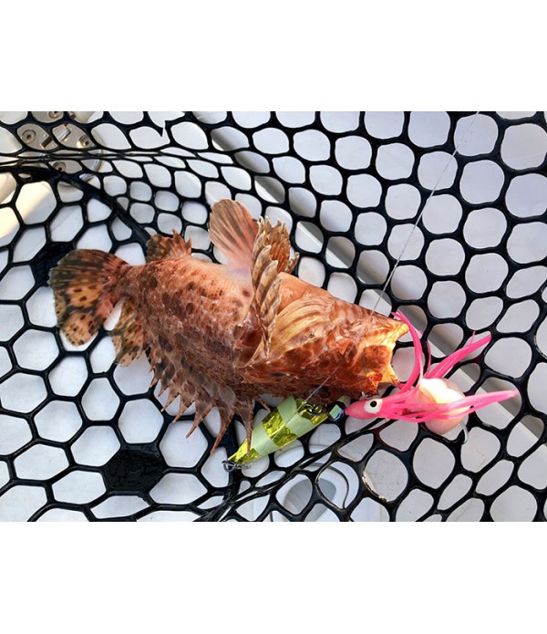 HAYABUSA VABA JACK EYE KICK BOTTOM HD INCHIKU 60GR