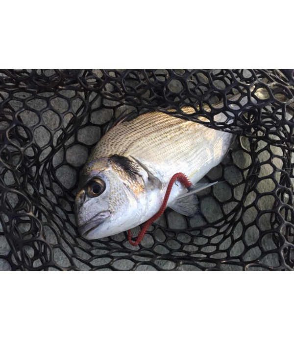 MARUKYU UMETNI ČRVI POWER ISOME SAND WORM M 10CM 15KOM.