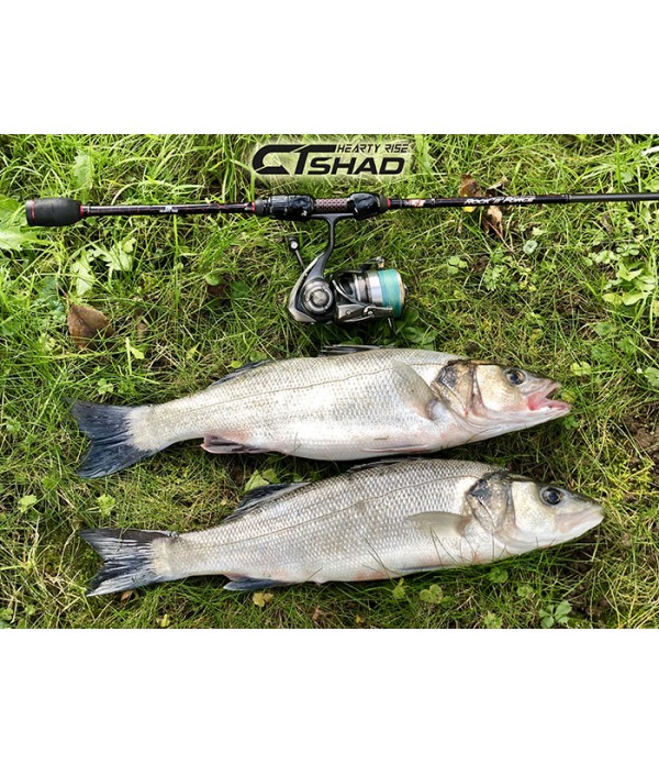 HEARTY RISE SILIKONSKA VABA CT SHAD 6,5CM 6KOM.