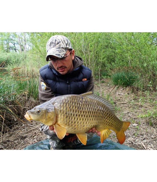 STARFISH PRELIV 300ML