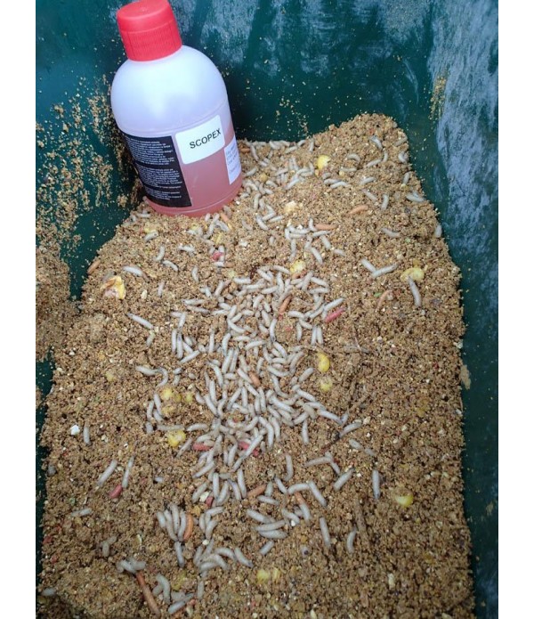 STARFISH PRELIV 300ML